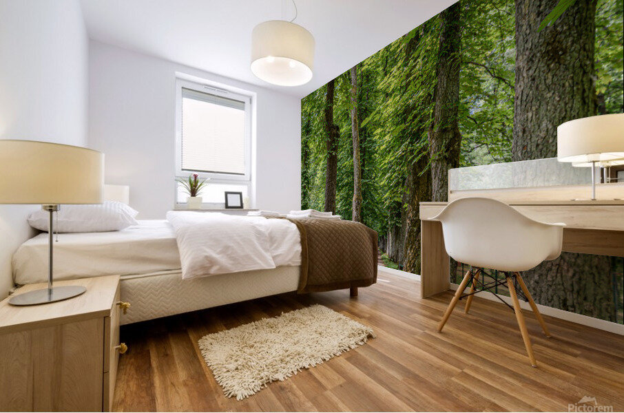 Tree alley Mural print