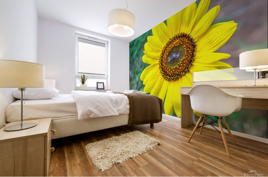 Sunflower Mural print