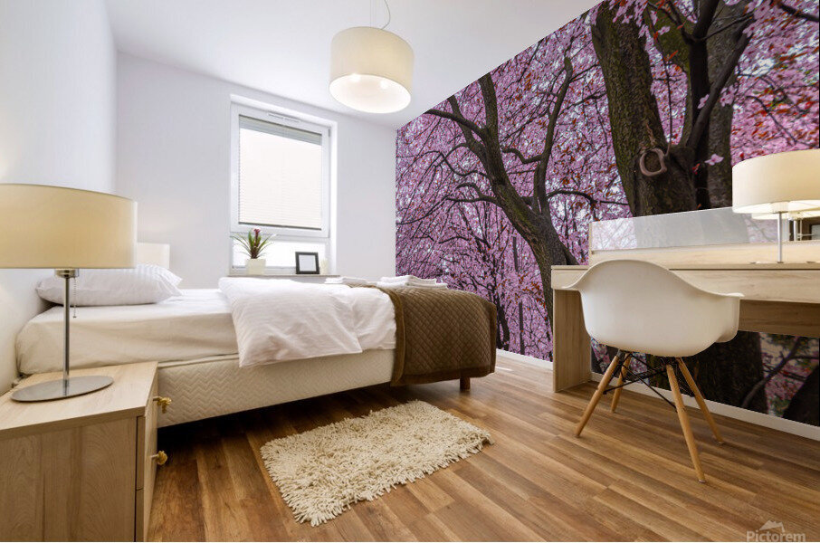 Cherry Plum Trees Mural print