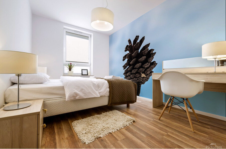Conifer cone Mural print