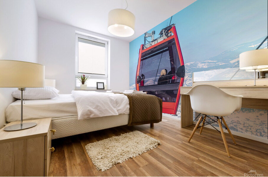 Gondola Mural print