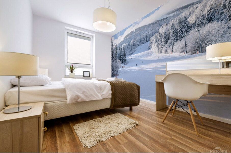 Ski slope Mural print