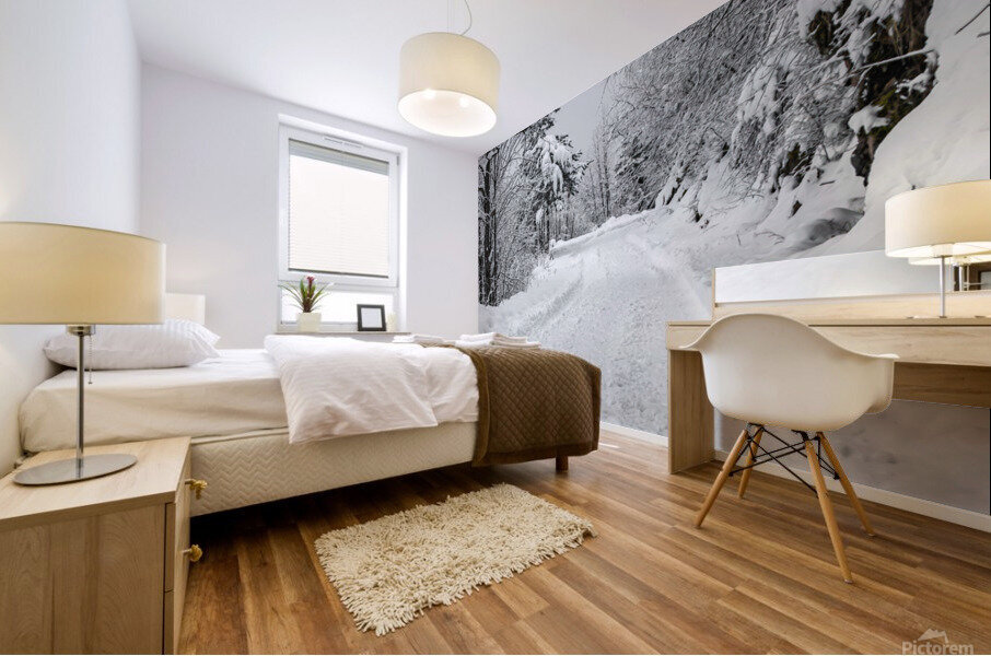 Mountain trail Mural print