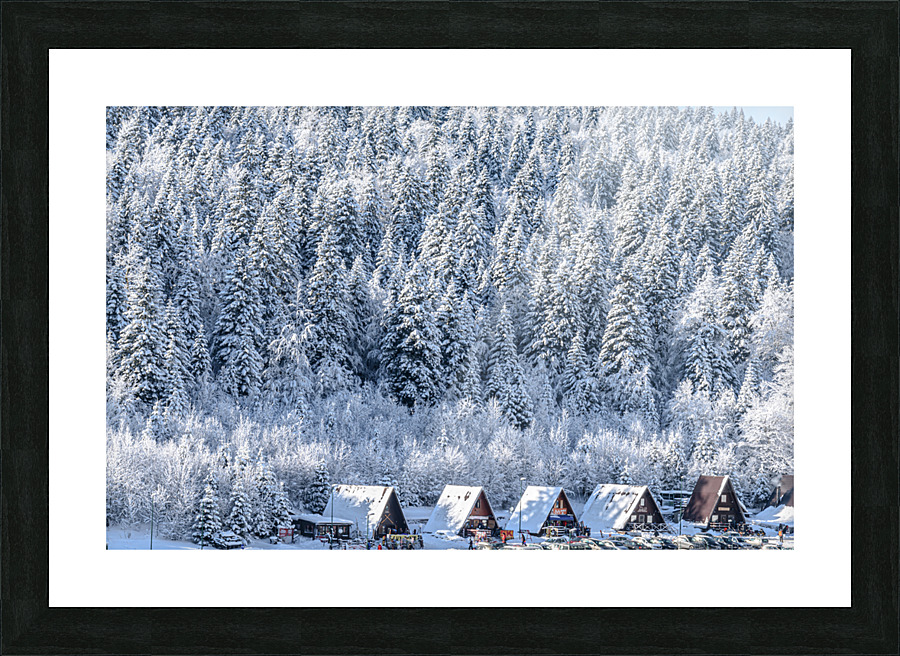 Mountain huts Picture Frame print
