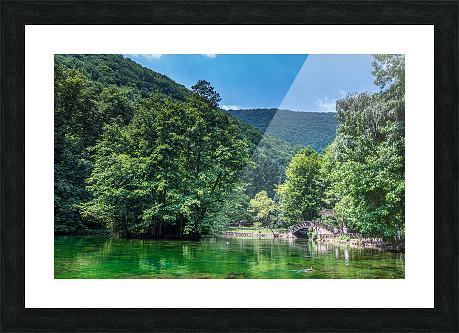 Green oasis Picture Frame print