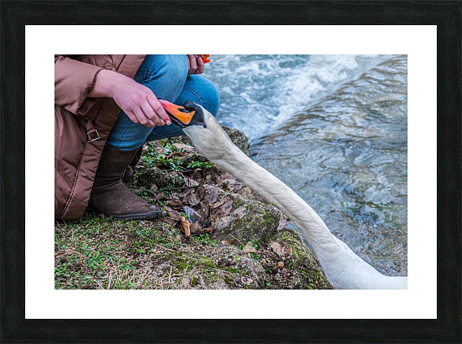 Giving hand Picture Frame print