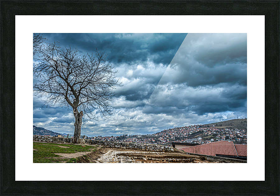 Tree under heavy clouds Picture Frame print