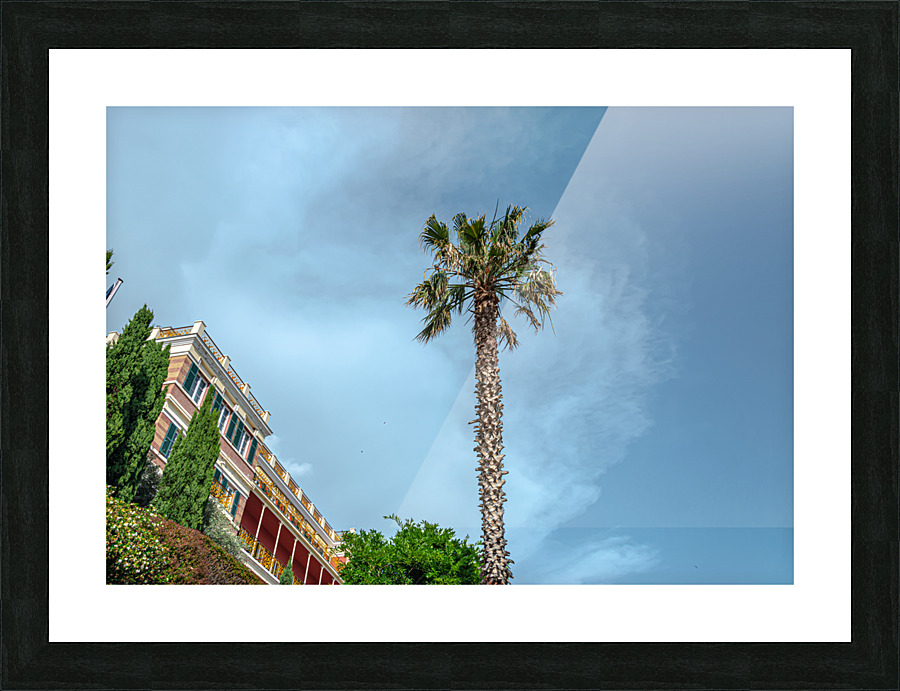 Palm Tree Picture Frame print