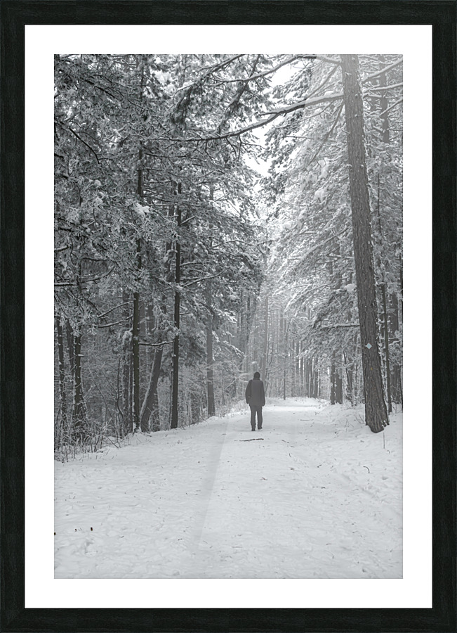 Mountain trail Picture Frame print