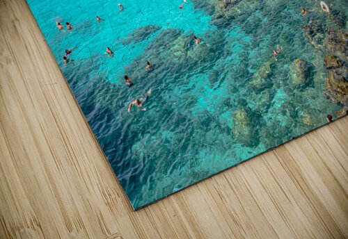 The Blue Lagoon  Vedad Ceric puzzle
