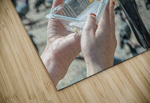 Feeding time Vedad Ceric puzzle