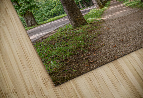 Tree alley Vedad Ceric puzzle