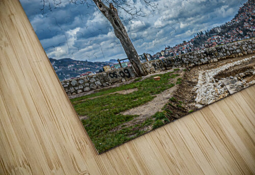 Tree under heavy clouds Vedad Ceric puzzle