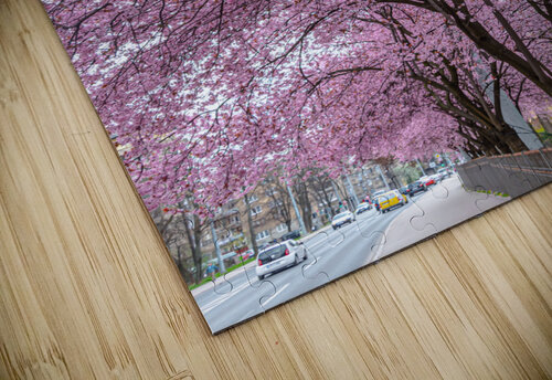 Cherry Plum Trees Vedad Ceric puzzle