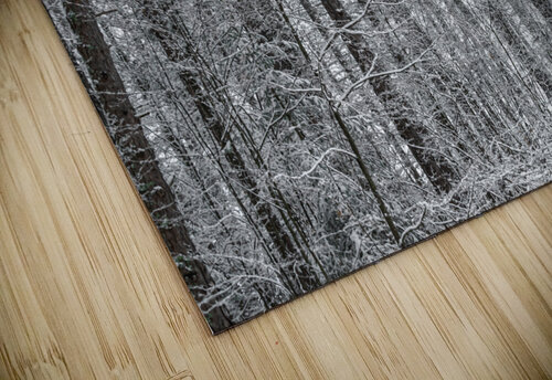 Mountain forest Vedad Ceric puzzle