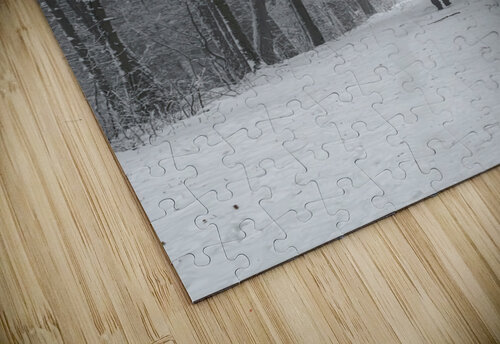 Mountain trail Vedad Ceric puzzle