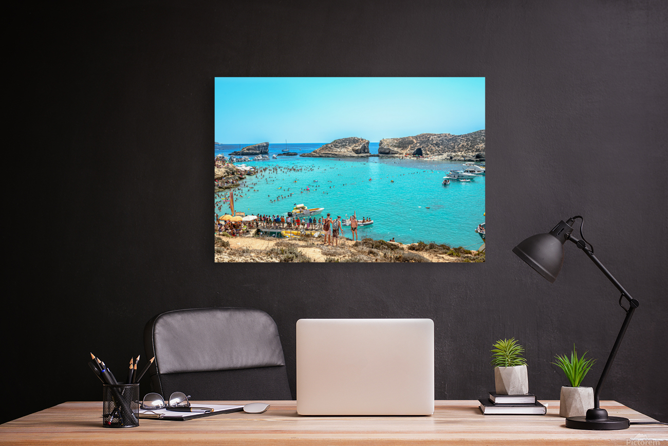 The Blue Lagoon  Reproduction