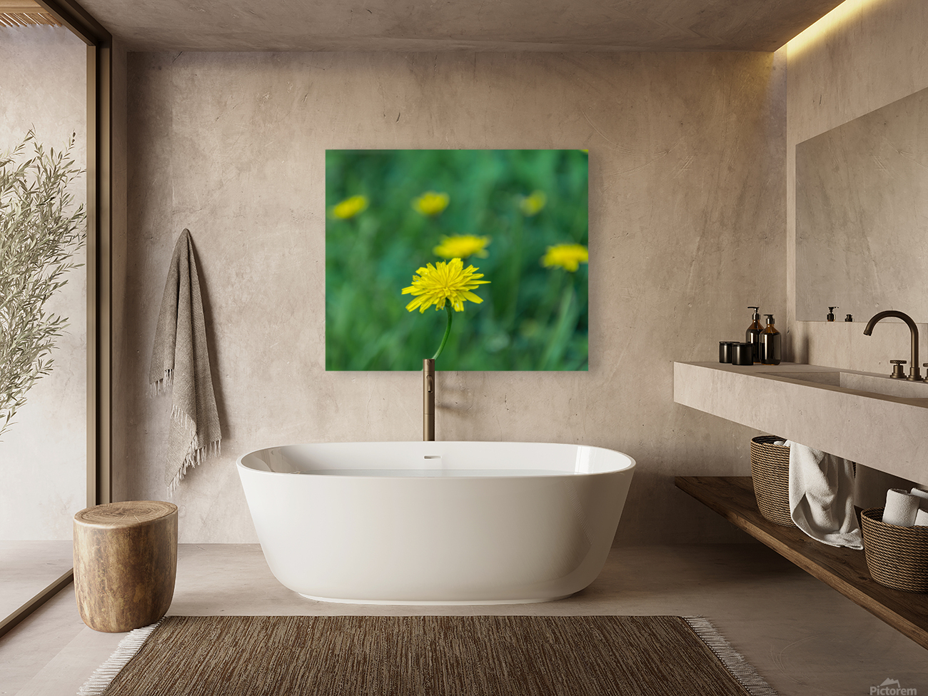 Hawkweed Reproduction