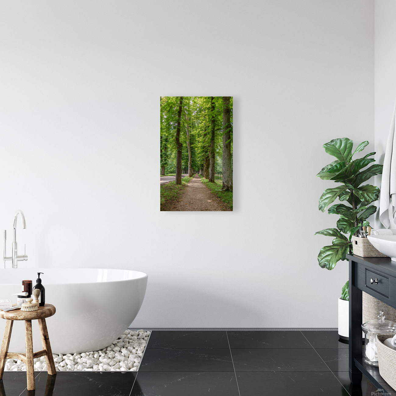 Tree alley Reproduction