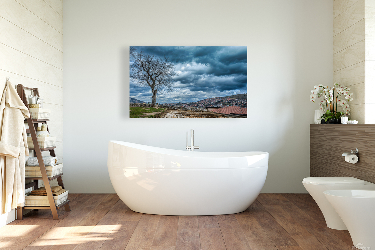 Tree under heavy clouds Reproduction