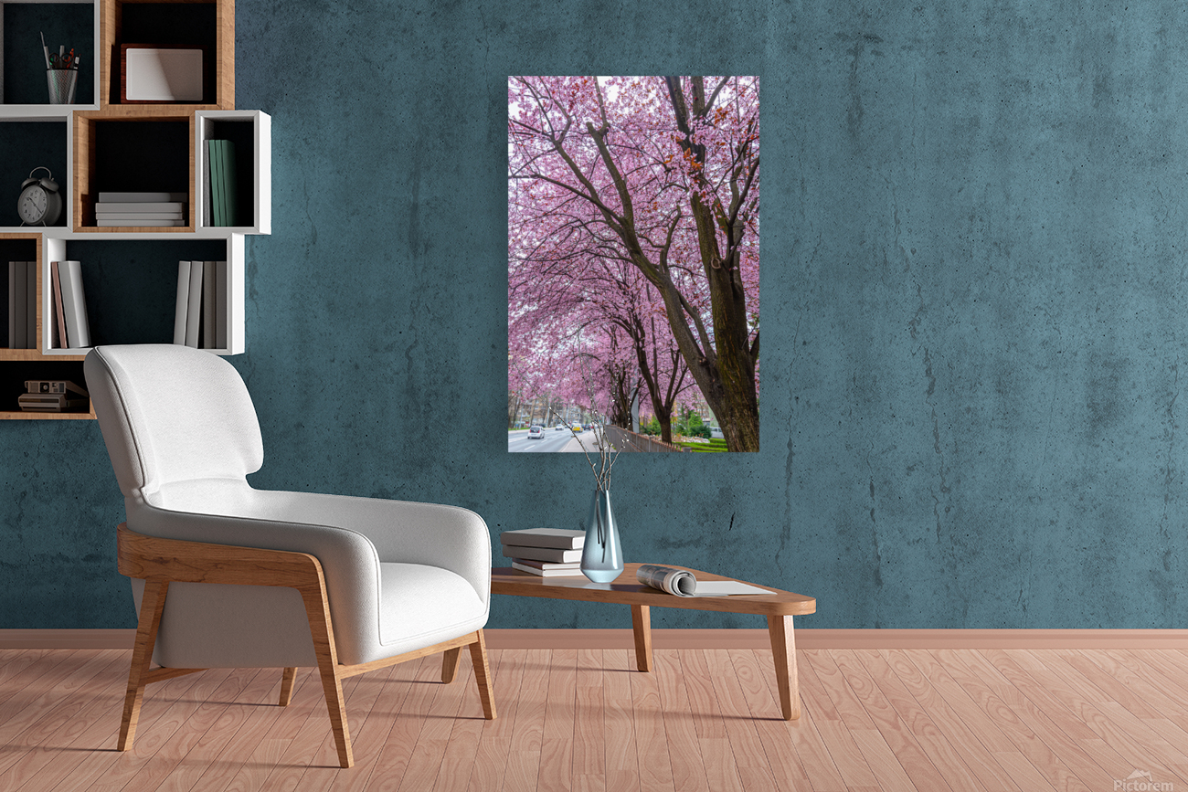 Cherry Plum Trees Reproduction