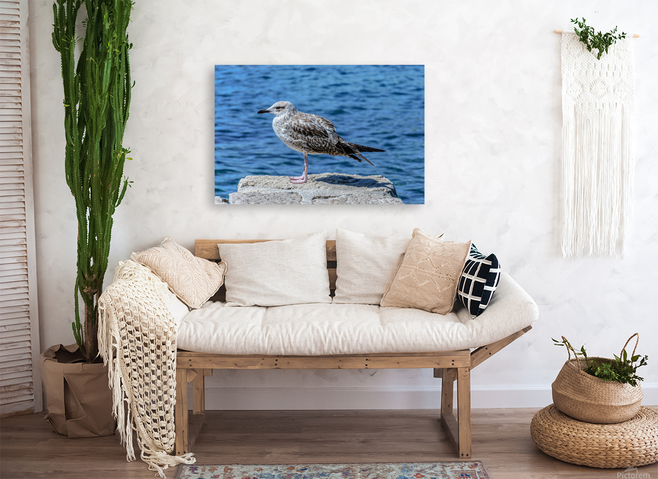 Seagull standing Reproduction