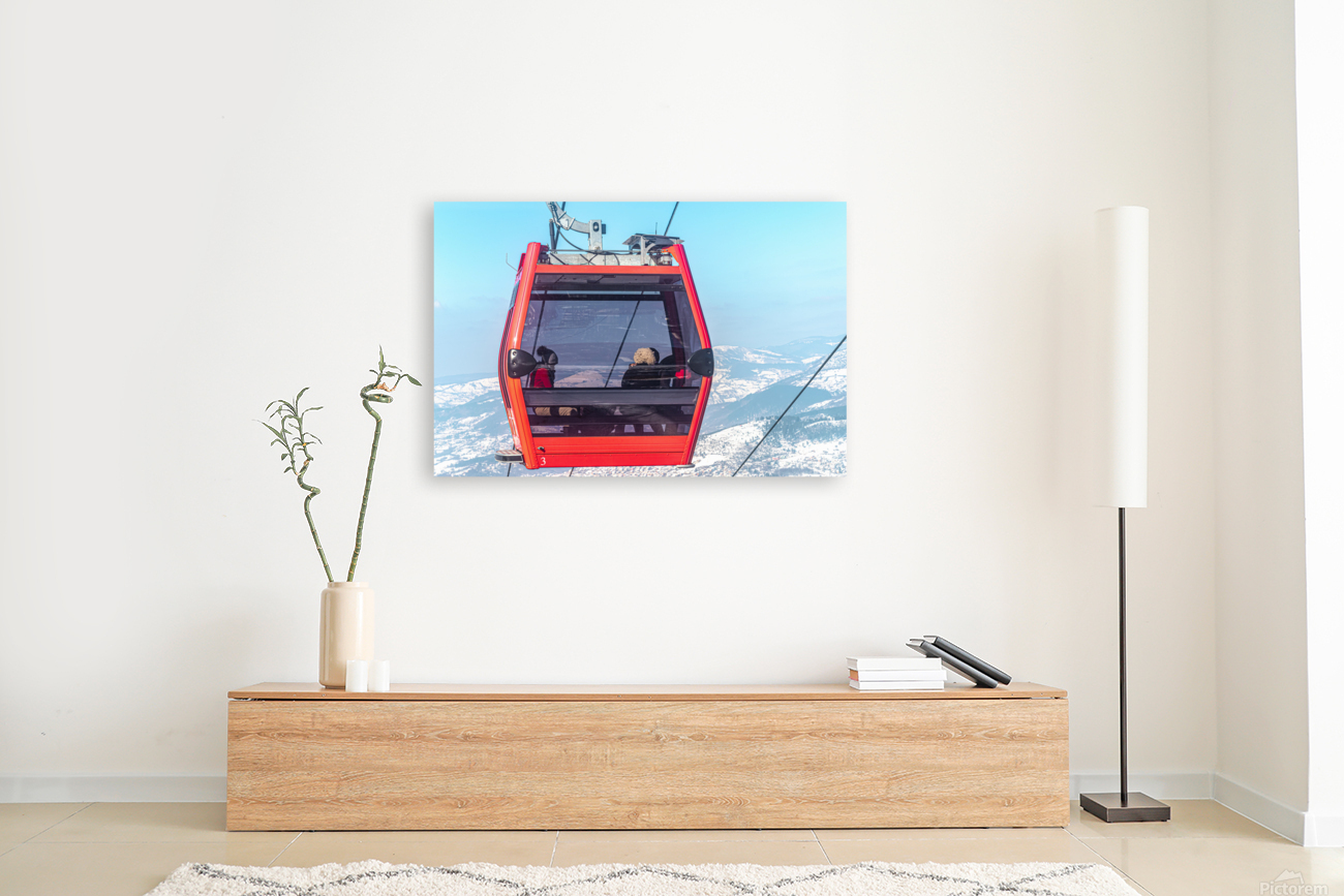 Gondola Reproduction