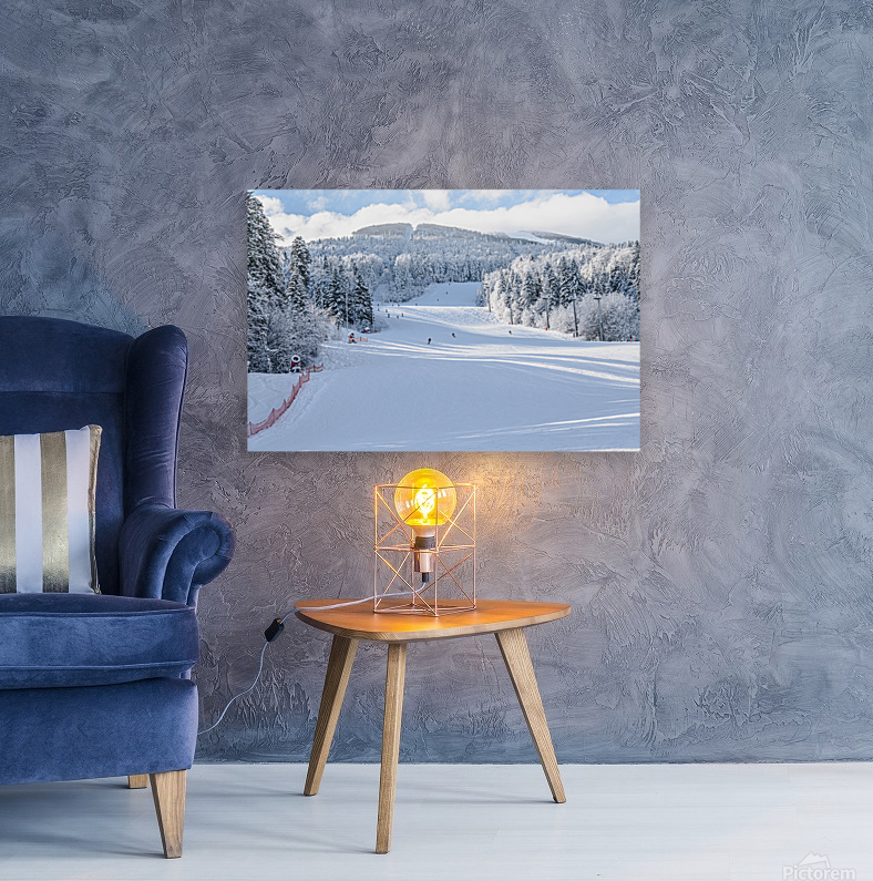 Ski slope Reproduction