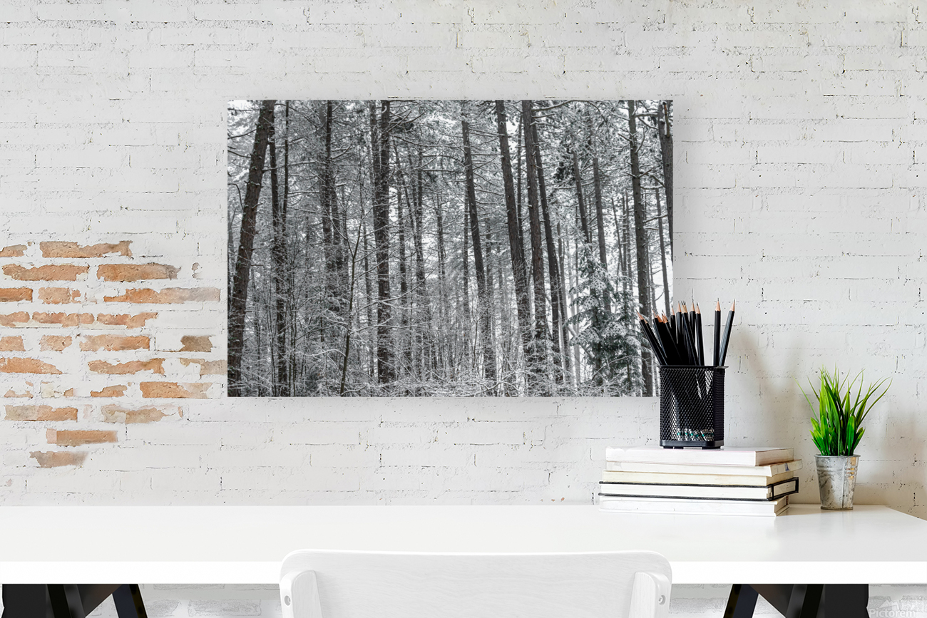 Mountain forest Reproduction