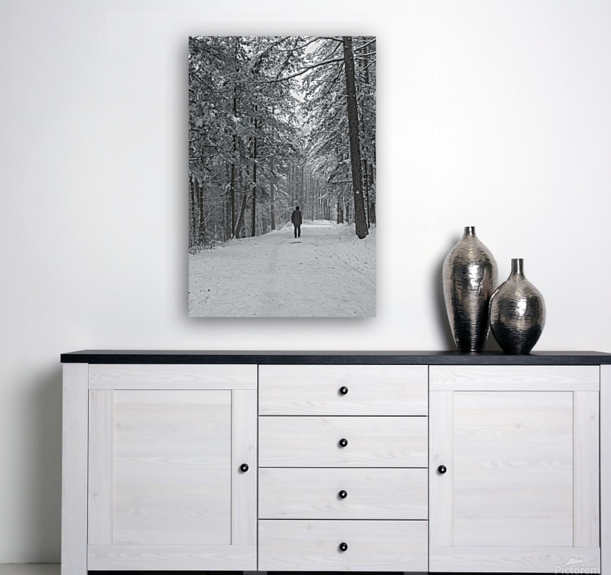 Mountain trail Reproduction