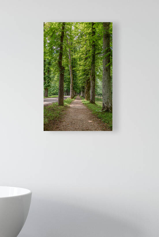 Tree alley Reproduction