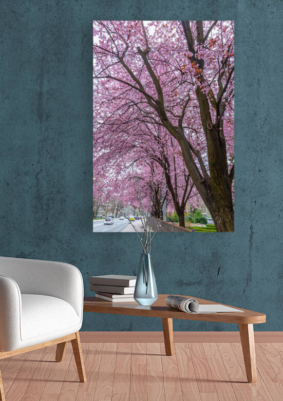 Cherry Plum Trees by Vedad Ceric
