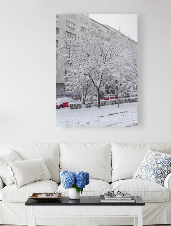 The first snow of the year covered the streets of Sarajevo by Vedad Ceric