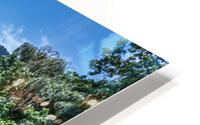 Green oasis HD Metal print