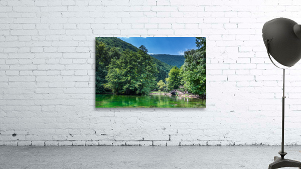 Green oasis Wall Preview