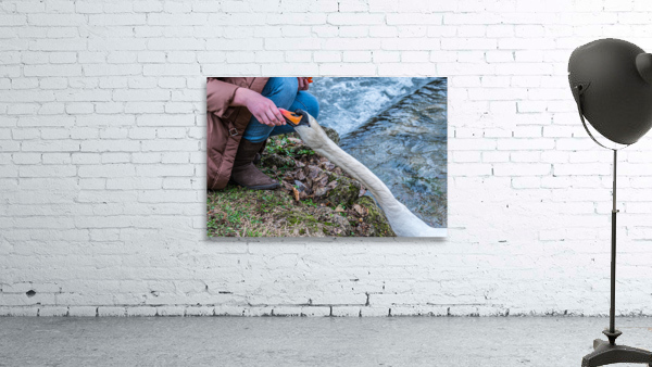 Giving hand Wall Preview