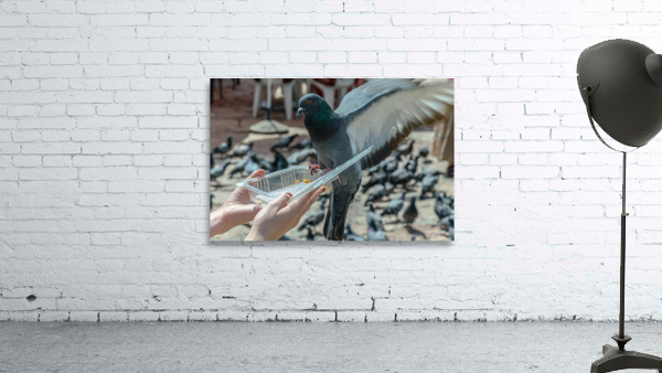 Feeding time Wall Preview