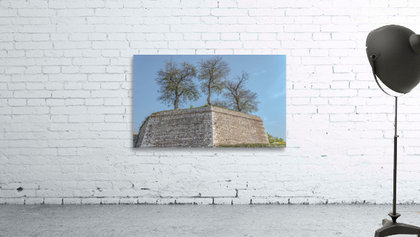 Yellow Bastion Wall Preview