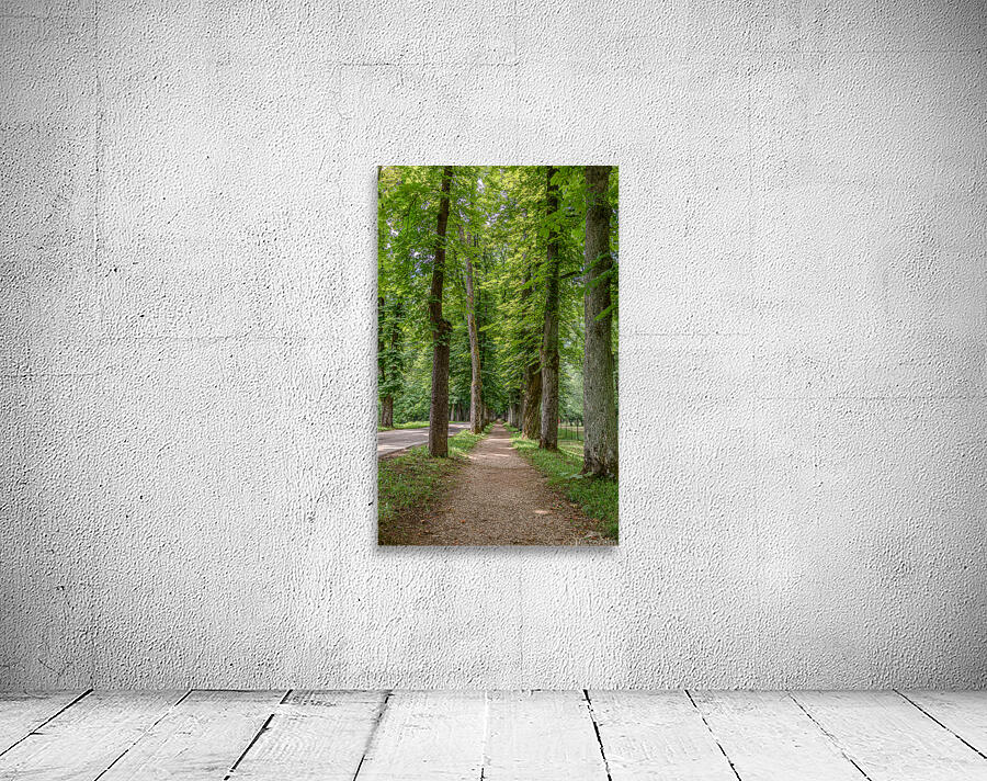 Tree alley Wall Preview