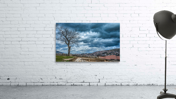 Tree under heavy clouds Wall Preview
