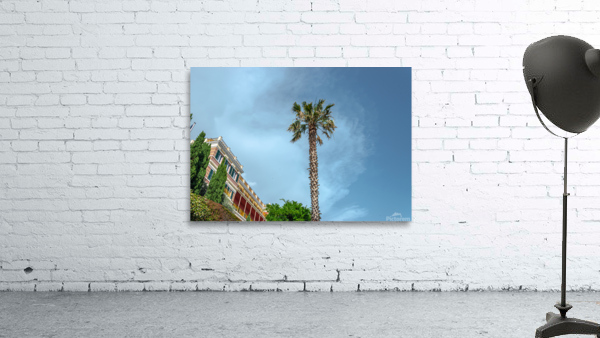 Palm Tree Wall Preview