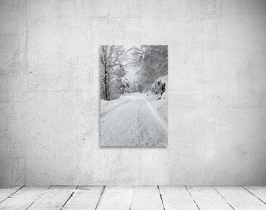 Mountain trail Wall Preview