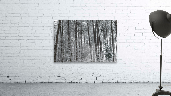Mountain forest Wall Preview