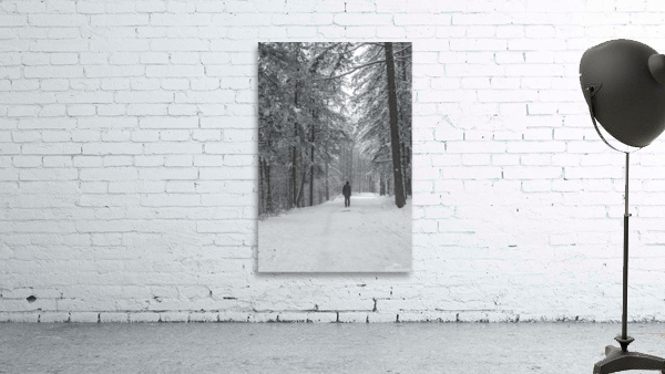 Mountain trail Wall Preview