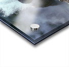 Gushing Geyser Acrylic print