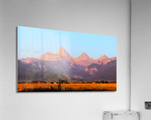 Tetons at Sunset Acrylic Print