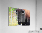 Consentrate Acrylic Print