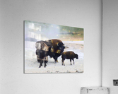 Family  Forge Acrylic Print