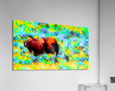 Sage Bison Acrylic Print