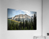 Alpine Peaks Acrylic Print